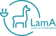 LamA: analysis of impacts of electric vehicles on the electricity system